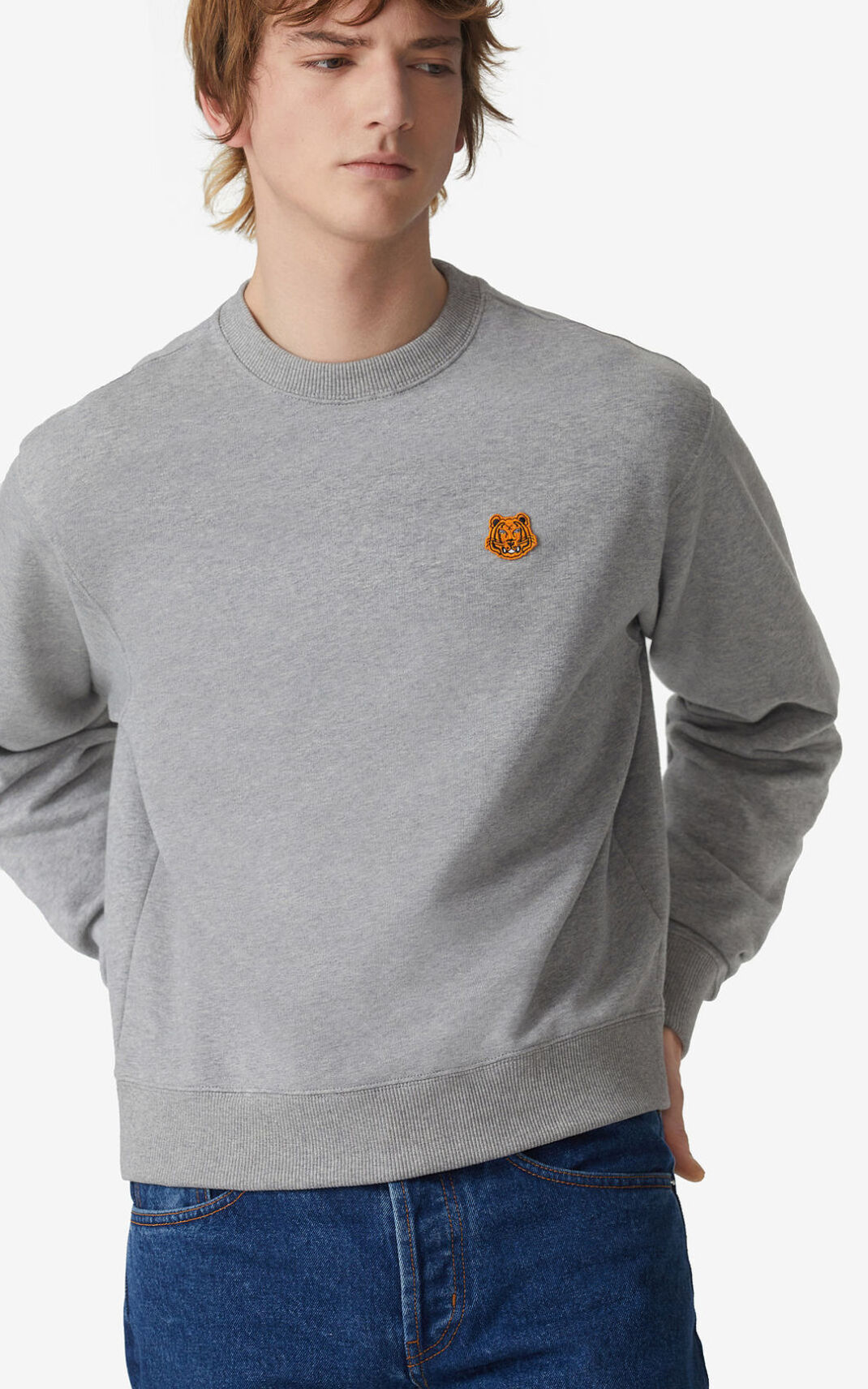 Sweat Kenzo Tiger Crest Homme Grise | RJXV-08749